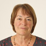 Gisela Kehrer-Bleicher, Kreisrätin der Linken